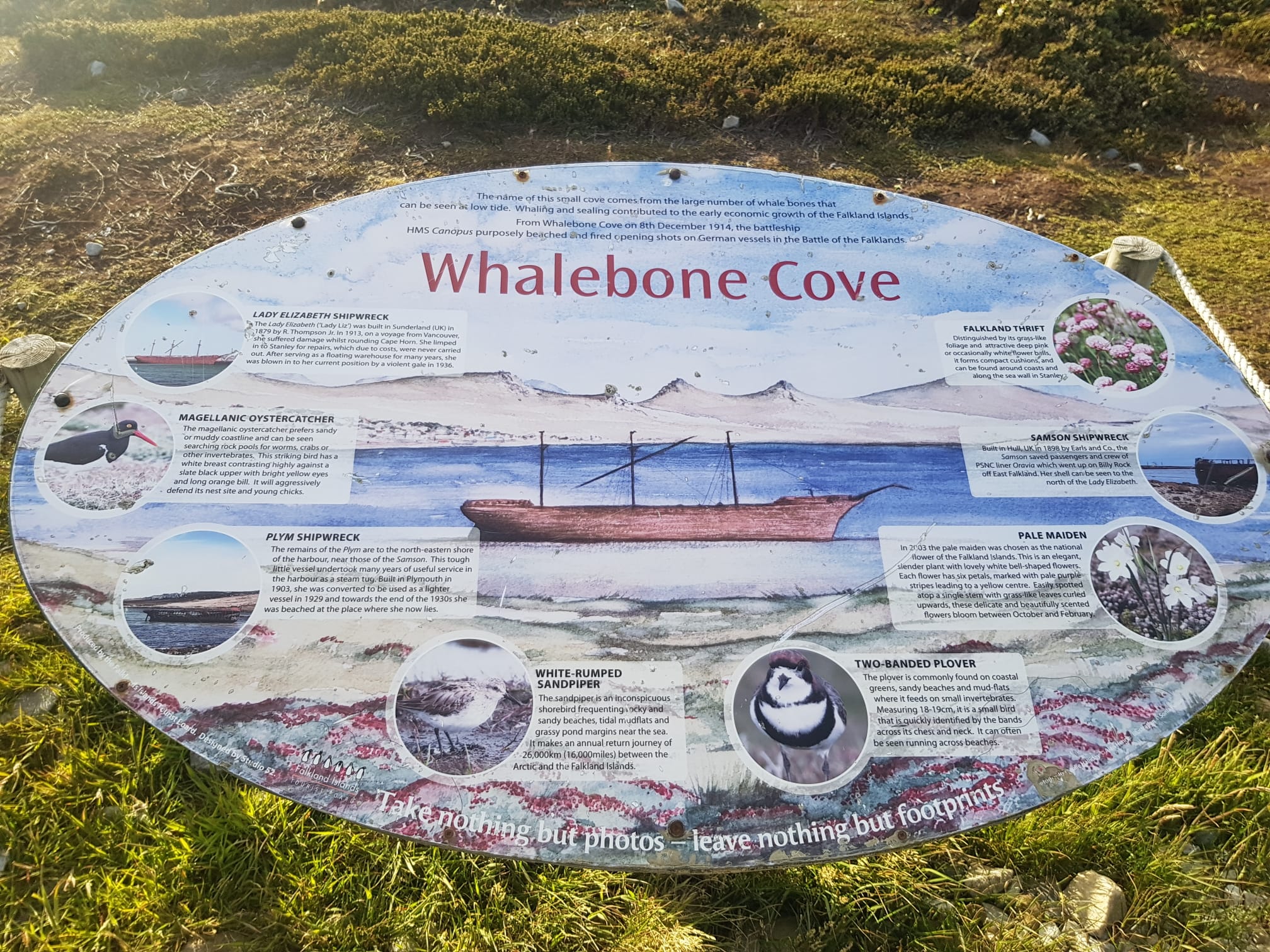 19/12/19 Whalebone Cove